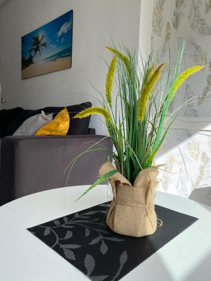 Sunshine Apartment Τορεβιέχα Εξωτερικό φωτογραφία