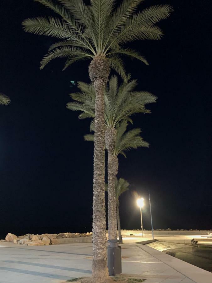 Sunshine Apartment Τορεβιέχα Εξωτερικό φωτογραφία