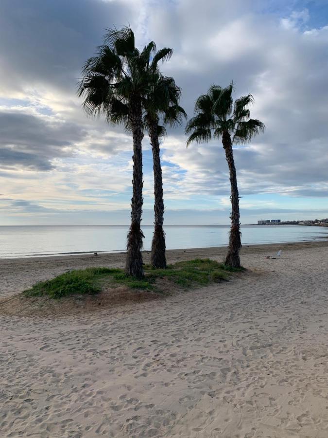 Sunshine Apartment Τορεβιέχα Εξωτερικό φωτογραφία